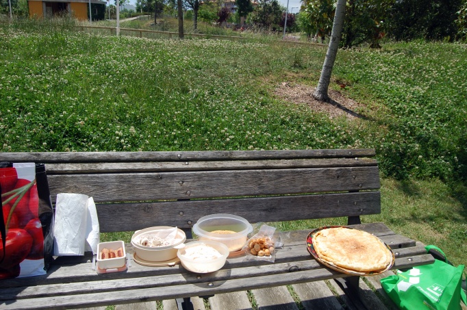picnic en parque francesc macia